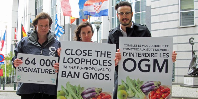 European Parliament gives governments new powers to ban GM crops