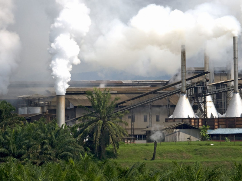 dreamstime_xxl_6712146