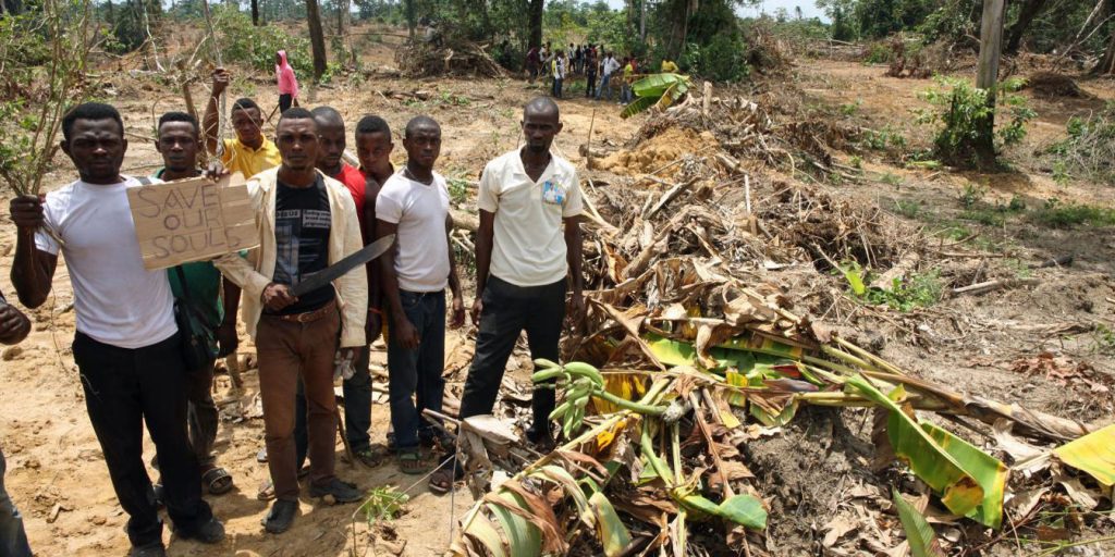 Communities affected by landgrabbing in Cross River State, Nigeria (c) FoEE