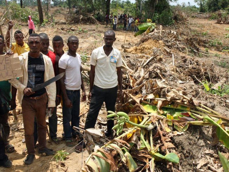 Communities affected by landgrabbing in Cross River State, Nigeria (c) FoEE