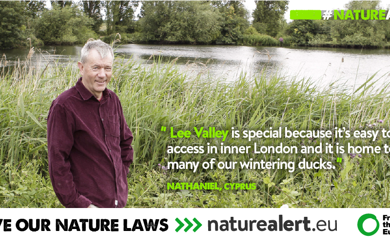 Nature alert Tottenham 2