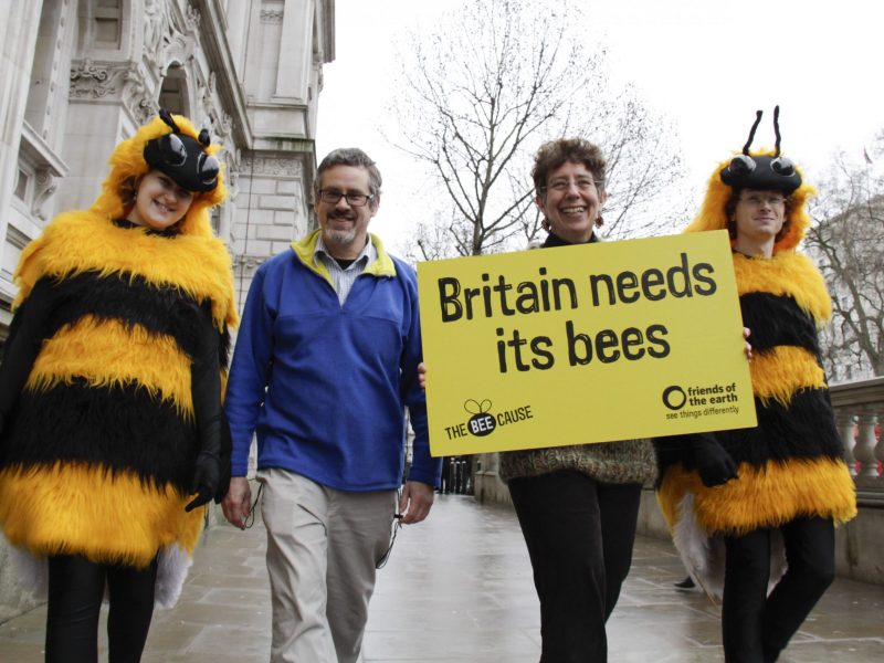 ewni_britain_needs_bees