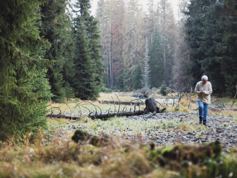 sumava_national_park