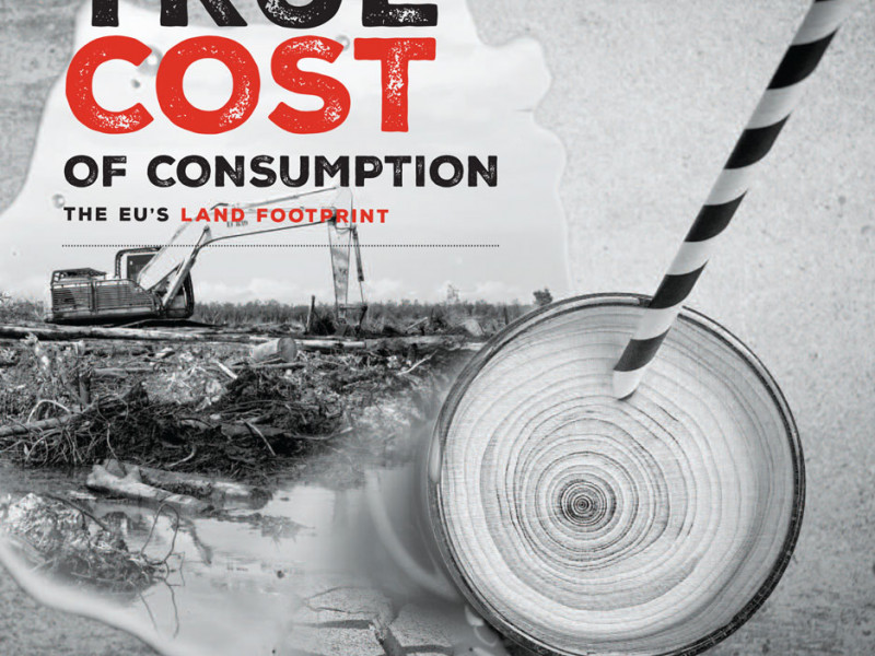 foee-true-cost-consumption