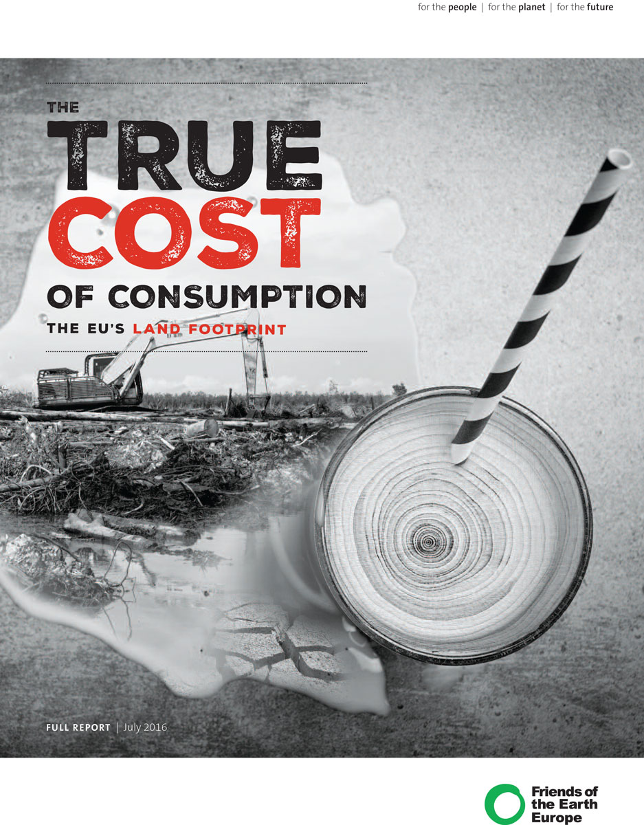 foee-true-cost-consumption