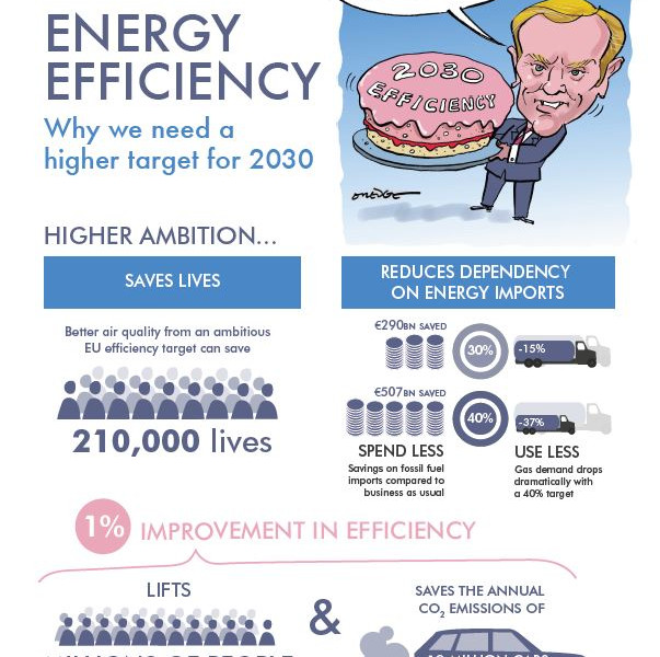 Cake and eat it - energy efficiency briefing