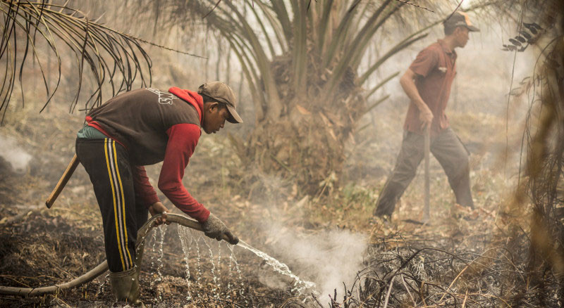 firefighters_in_asmr_planta