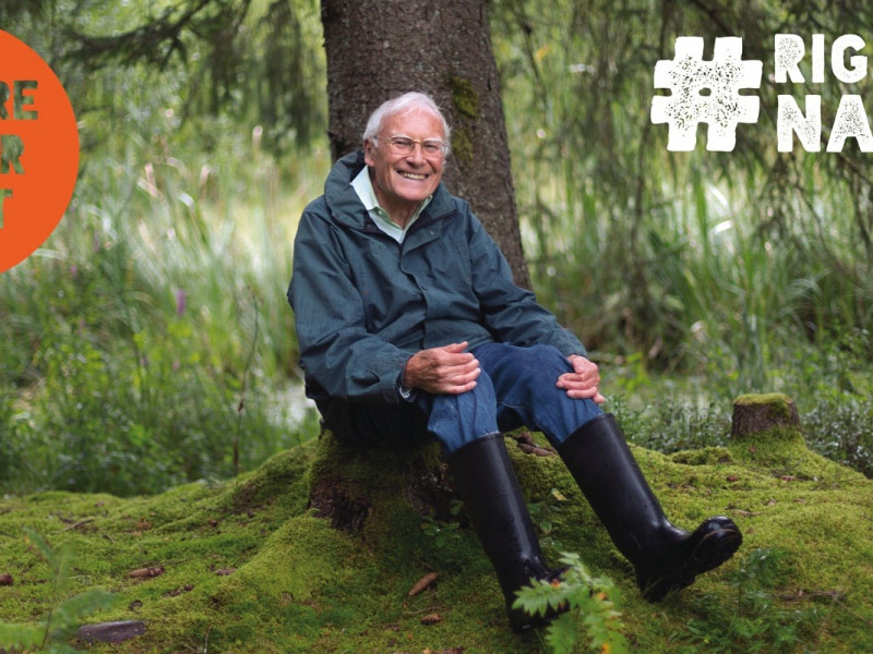 graphic-elderly-website