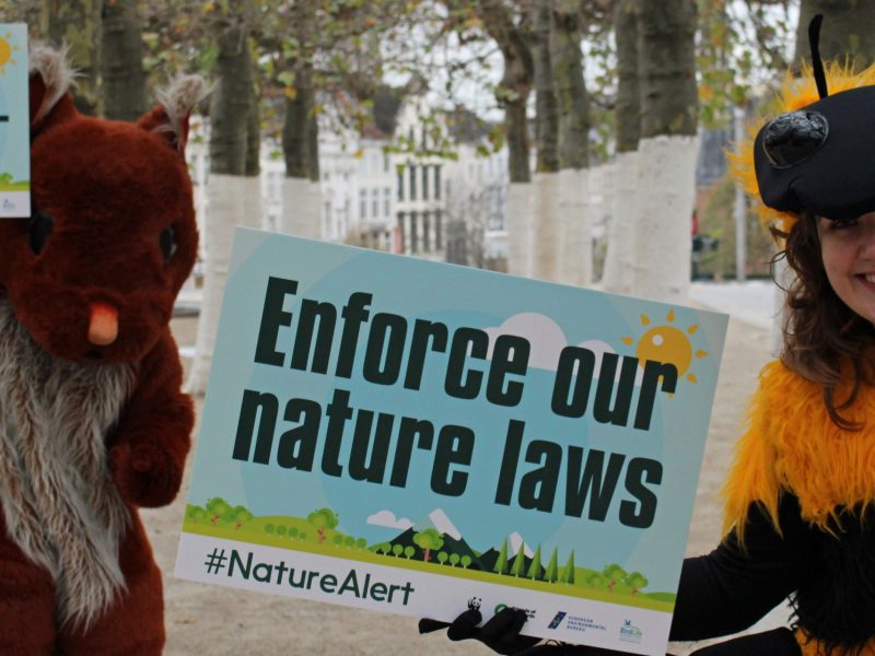 enforce our nature laws (c) Friends of the Earth Europe