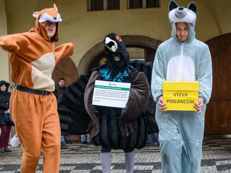 Activists hand in the the petition to protect Šumava at the Czech Parliament (c) Hnutí DUHA
