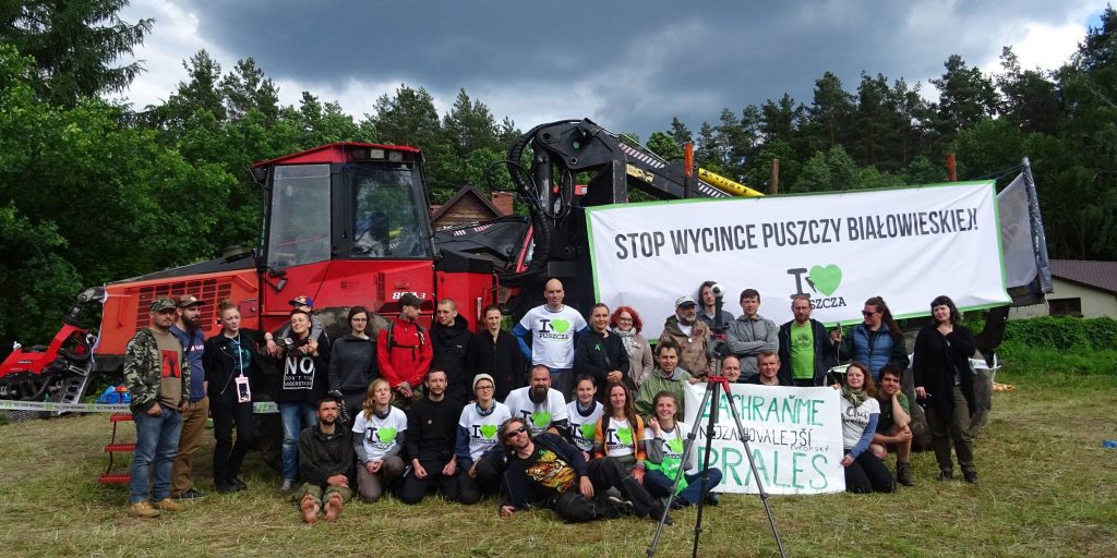 Czech activists join the fight to save Bia?owie?a forest