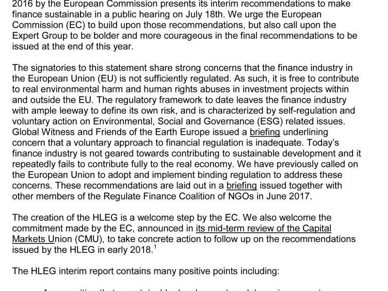 Statement by Friends of the Earth Europe, Global Witness and Share Action on the HLEG interim report_thumb
