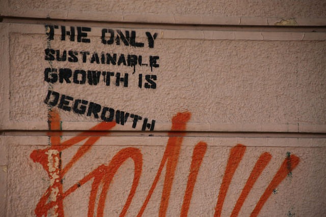 Degrowth conference