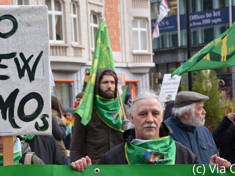 Marching against new GMOs (c) Via Campesina