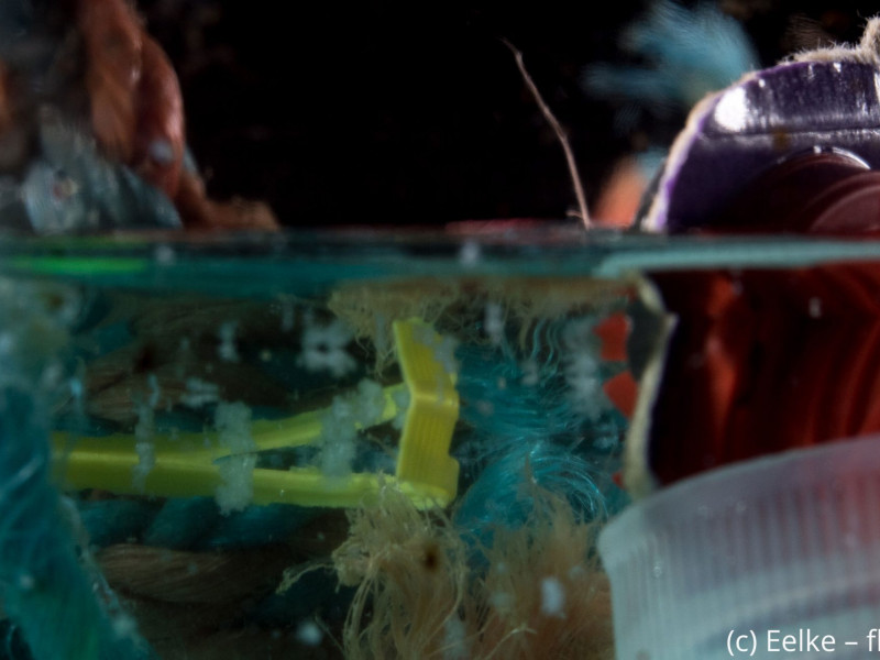 Plastic soup (c) Eelke