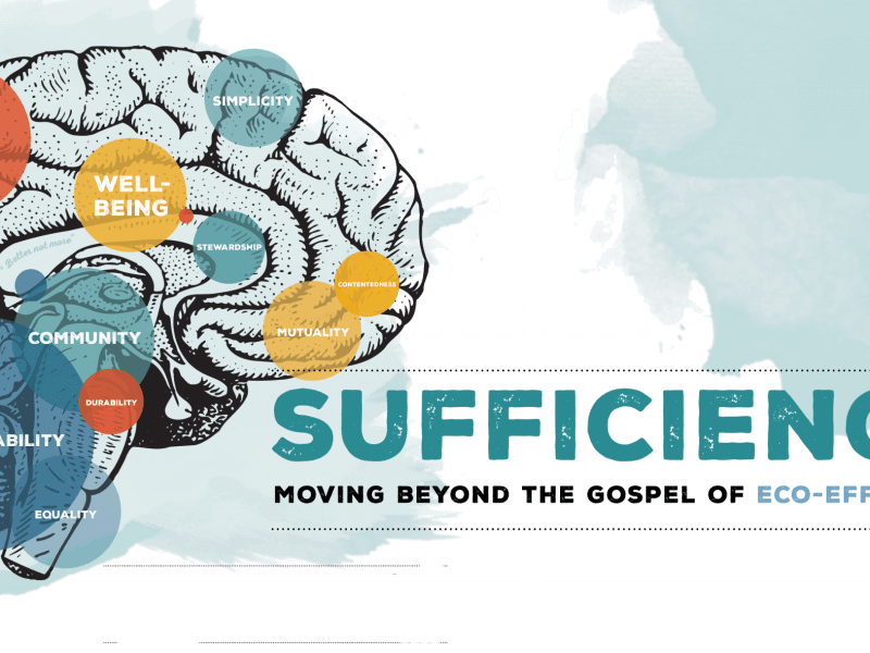 New publication - Sufficiency: moving beyond the gospel of eco-efficiency