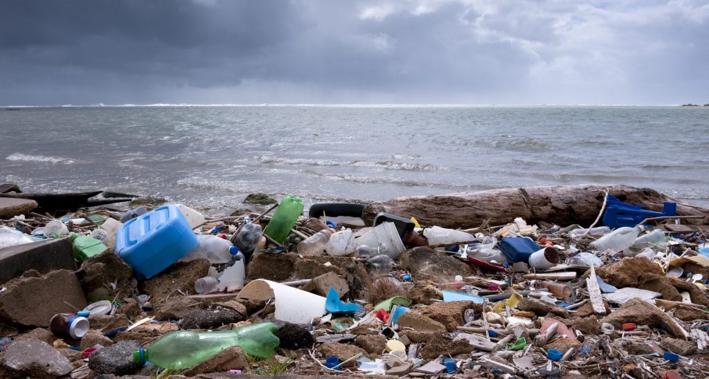 First steps taken to cut single-use plastics in Europe