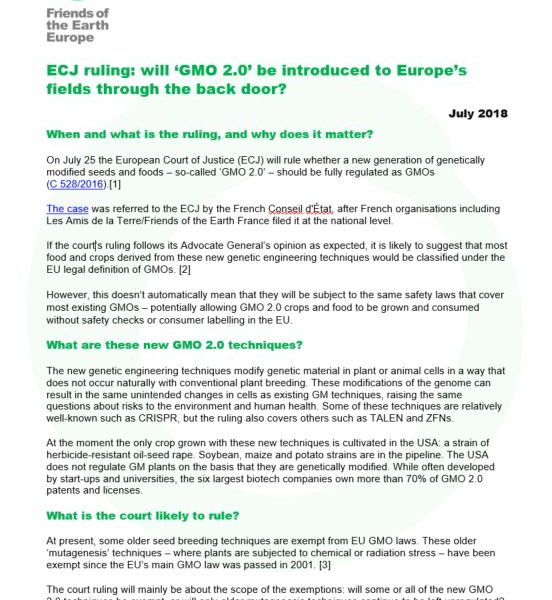 ECJ ruling: will ‘GMO 2