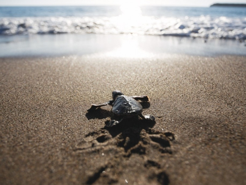 PN9A6861-copy-1296x864 - Copy