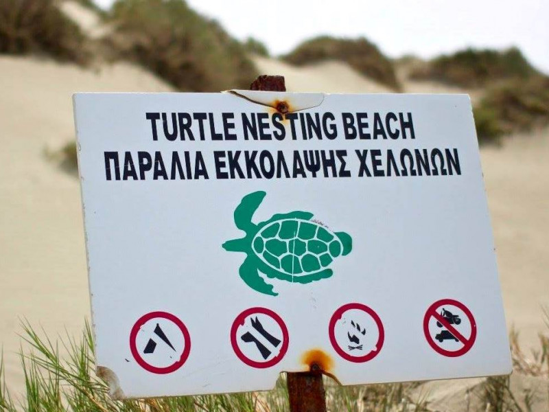 32105553_1852654954757848_4492971919775105024_o