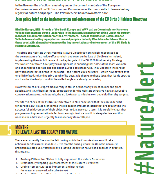 Legacy for Nature – NGO Joint Policy Brief pdf