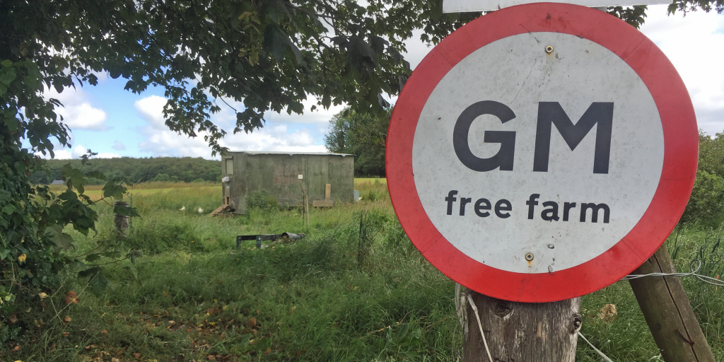 GM-free farm