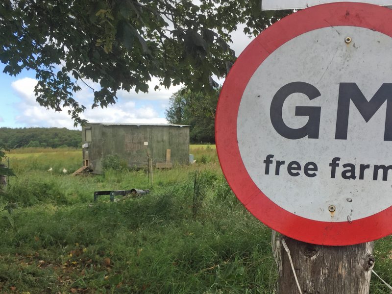 GM-free farm