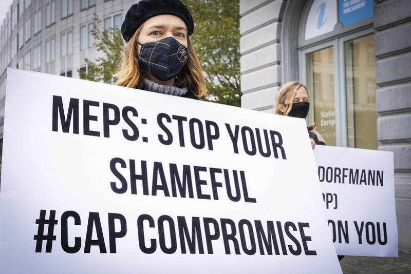 Flashmob against a wek CAP outside the European Parliament, Brussels (Credit: Dieter Telemans)