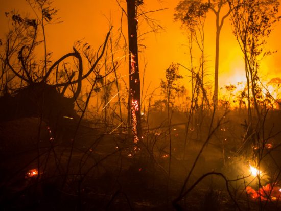 Fires in the Amazon (C) Victor Moriyama