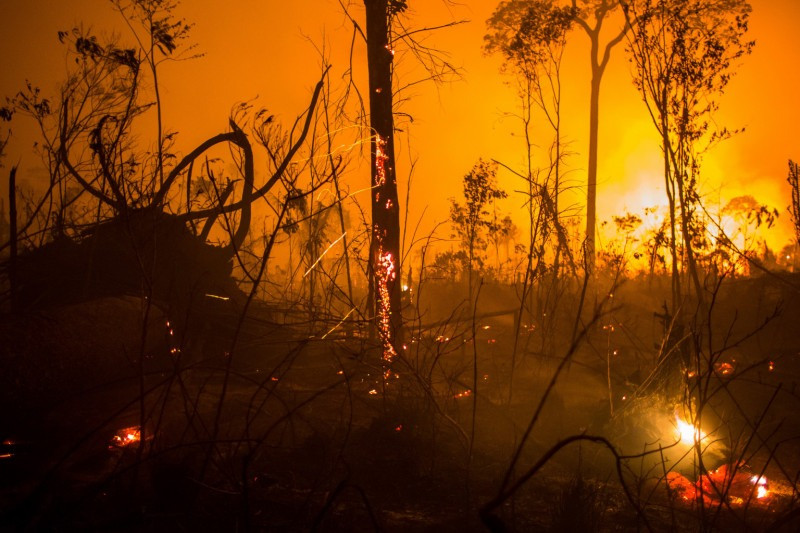 Fires in the Amazon (C) Victor Moriyama