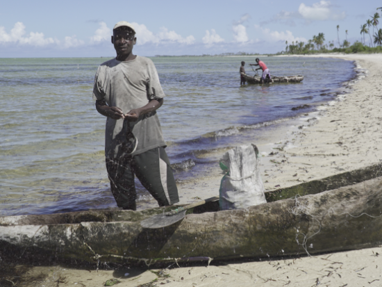 Mozambique’s Cabo Delgado faces destruction by gas companies
