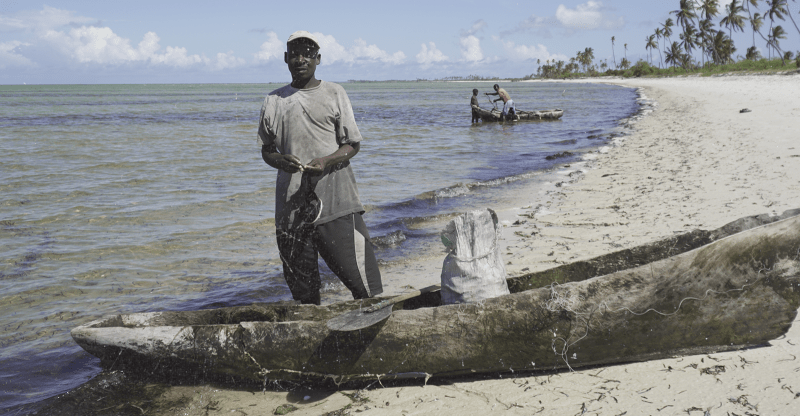 Mozambique’s Cabo Delgado faces destruction by gas companies