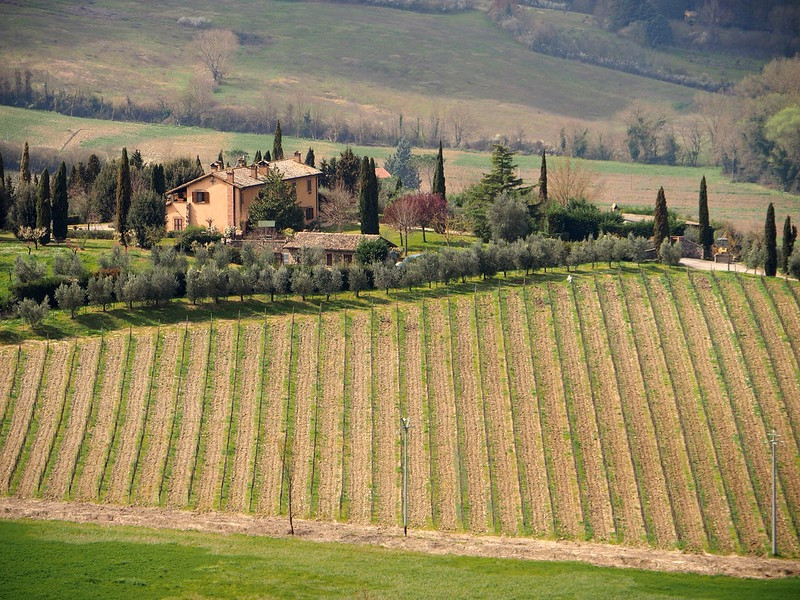 field in umbria (c) ? Slices of Light ? ?? ? ? / Flickr