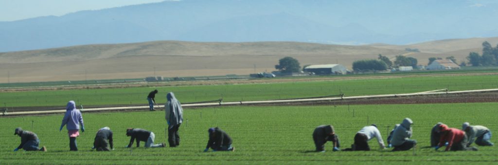 Farm workers