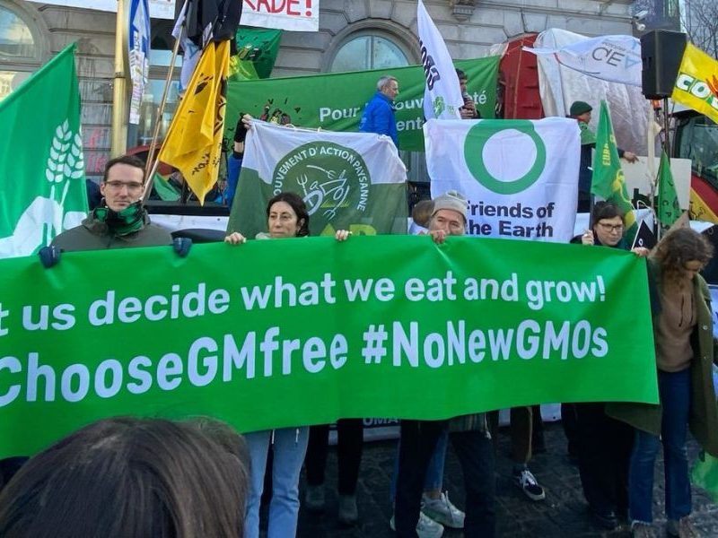 People gathered in Place du Luxembour in Brussels holding a big banner that reads "LEt us decide what we eat and grow. #IChooseGMOfree #NoNewGMOs"
