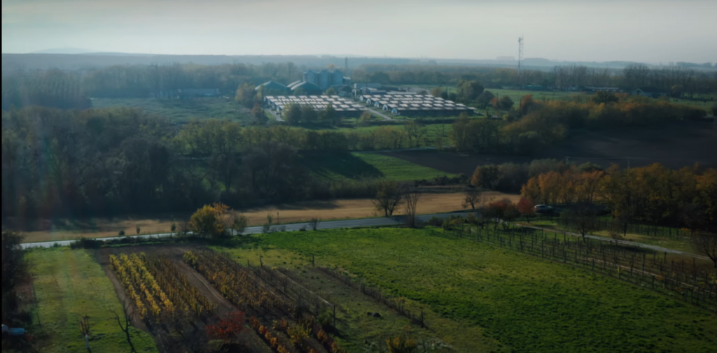 Still from Friends of the Earth Hungary's short documentary "Against the Wind: Kisbér Trapped in Stench" (created by: Ágoston Fehér and Dorka Farkas)