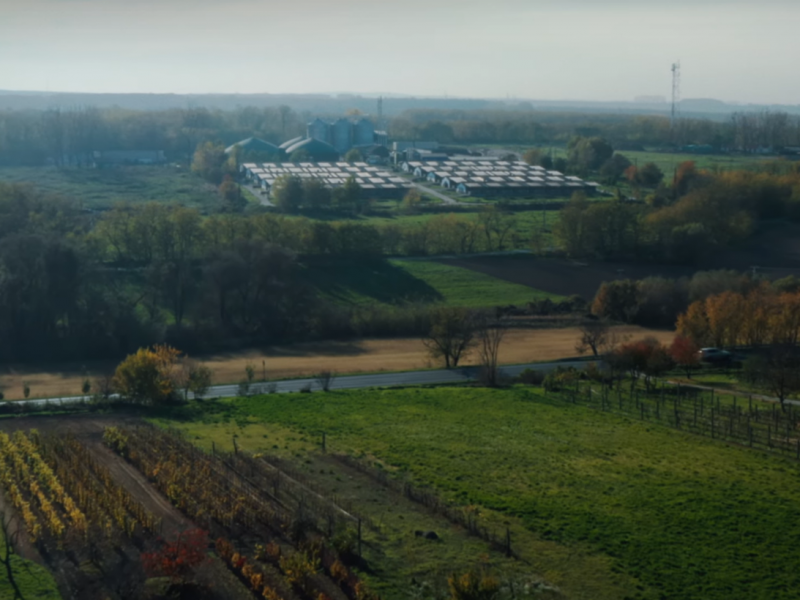 Still from Friends of the Earth Hungary's short documentary "Against the Wind: Kisbér Trapped in Stench" (created by: Ágoston Fehér and Dorka Farkas)